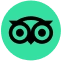 Tripadvisor Reviews