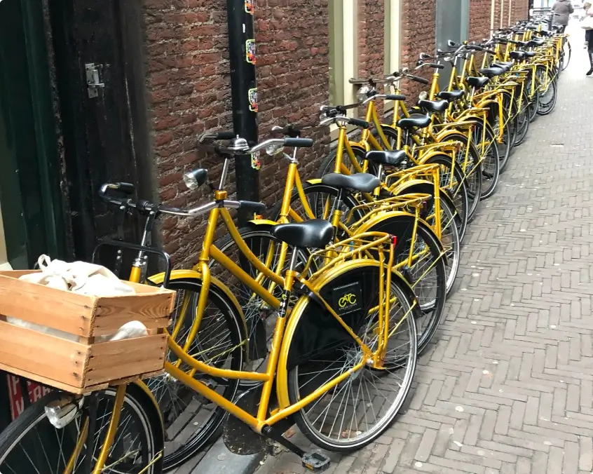 De gezelligste tour op de fiets